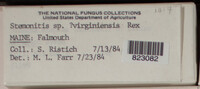 Image Associated With the Occurence